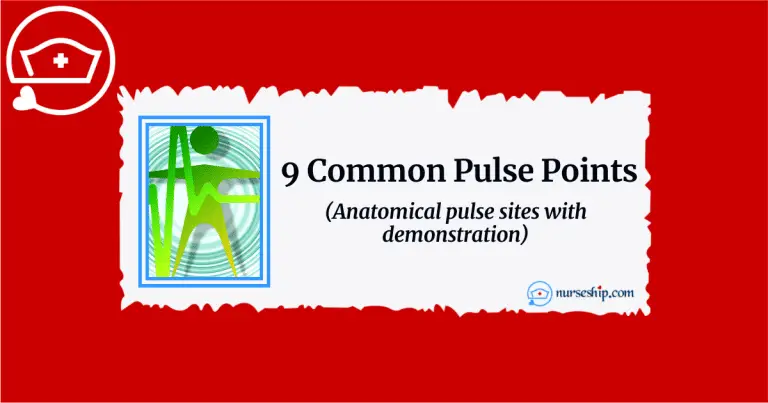 9 Common pulse points - (Anatomical pulse sites with demonstration ...