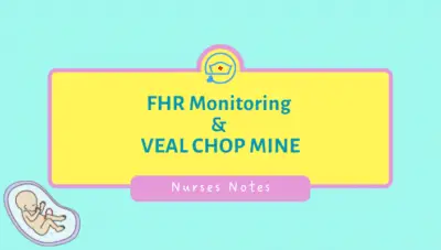 fetal-heart-rate-monitoring-veal-chop-mine-in-nursing