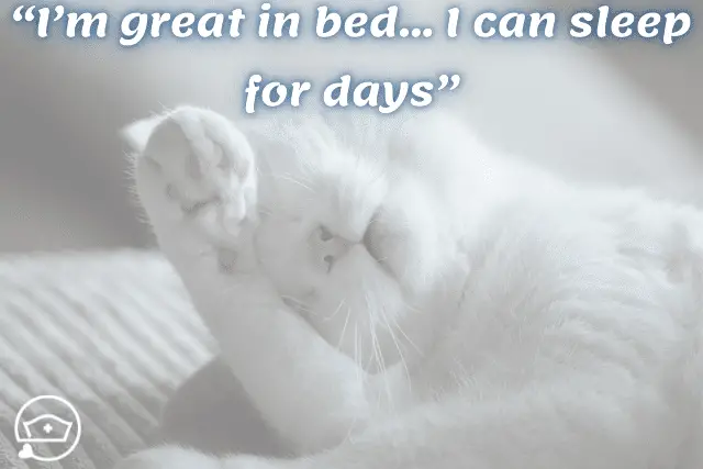 funny-quotes-for-nurses-nursing-students-funny-sleeping-cat