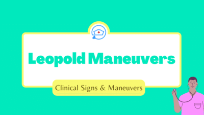 Leopold-Maneuvers-steps-Leopold's-Maneuvers-how-to-perform