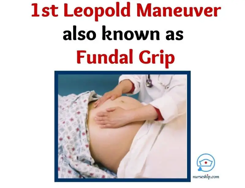 first-leopold-maneuver-first step of leopold maneuvers-leopold maneuver steps-leopold's maneuvers steps-what is the purpose of leopold maneuver