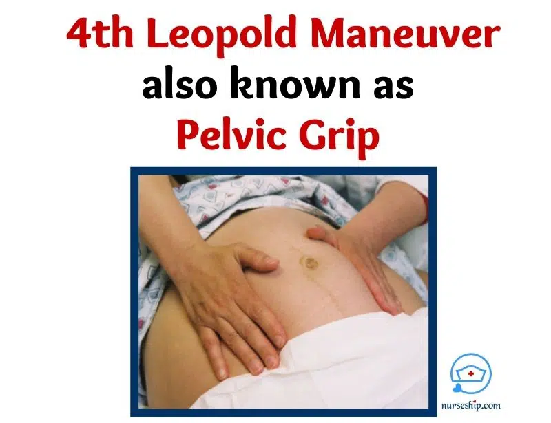 fouth-leopold-maneuver--leopold maneuver steps-leopold's maneuvers steps-what is the purpose of leopold maneuver