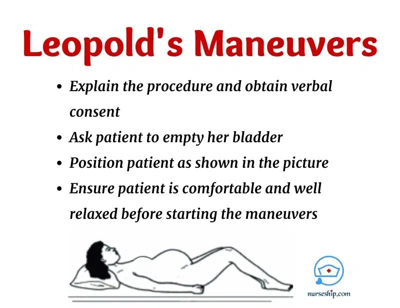 leopold-maneuver-leopold-maneuvers-leopold's-maneuvers-a-nurse-is-preparing-to-perform-leopold-maneuvers-for-a-client