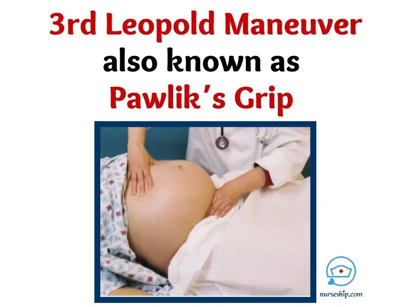 third-leopold-maneuver--leopold maneuver steps-leopold's maneuvers steps-what is the purpose of leopold maneuver