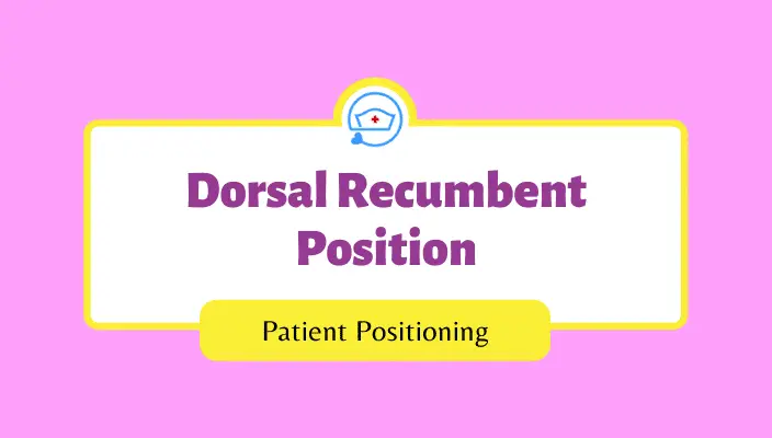 What is the Dorsal Recumbent Position? (2023)