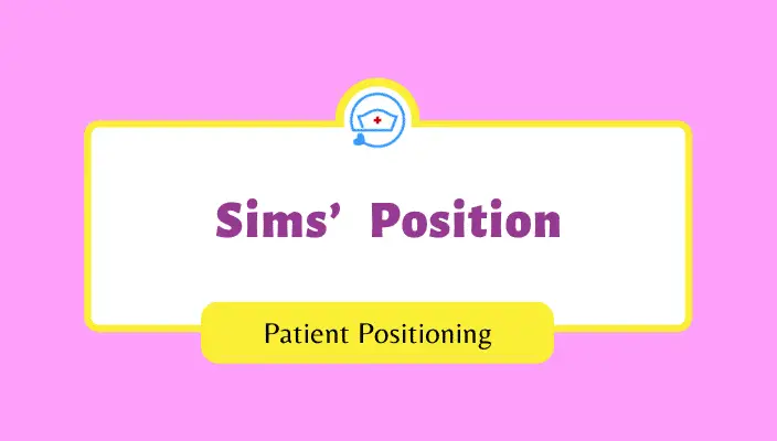Sims-position-sims-position-pictures-sims-position-images-left-sims-position-right-sims-position-left-lateral-sims-position-images-of-sims-position-sims-position-image-sims-position-picture-