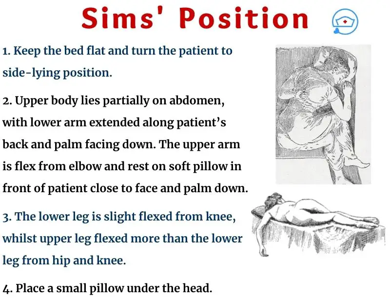 Sims position- sims position pictures- sims position images- left sims position- right sims position- left lateral sims position-images of sims position- sims position image-sims position picture