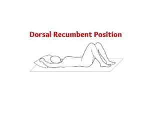dorsal recumbent position- dorsal recumbent position image- dorsal recumbent position nursing