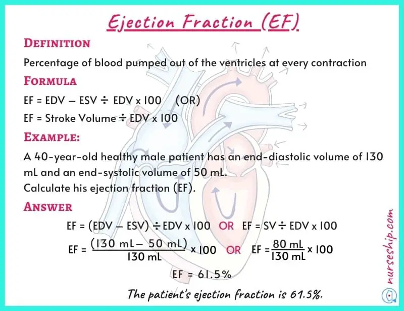 cardiac-ejection-fraction-ef-normal-ejection-fraction-ejection-fraction-normal-range-left ventricular-ejection-fraction-heart-ejection-fraction-ejection-fraction-formula-ejection-fraction-definition-ejection-fraction-calculation-how-to-calculate-ejection-fraction
