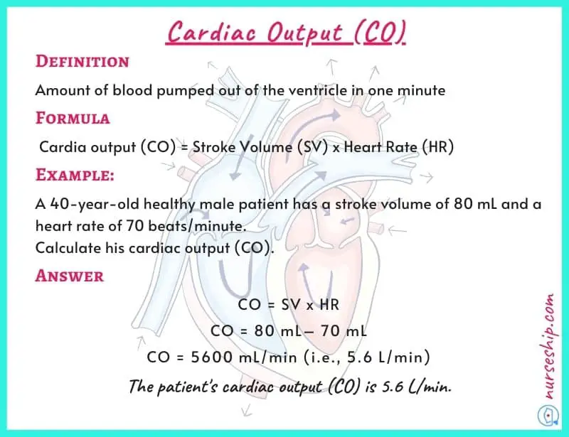 cardiac-output-co-cardiac-output-equation-normal-cardiac-output-what-is-cardiac-output-cardiac-output-formula-cardiac-output-definition-how-to-calculate-cardiac-output-example-cardiac-output-normal-range-stroke-volume-and-cardiac-output-stroke-volume-vs-cardiac-output-cardiac-output-units-normal-cardiac-output-range