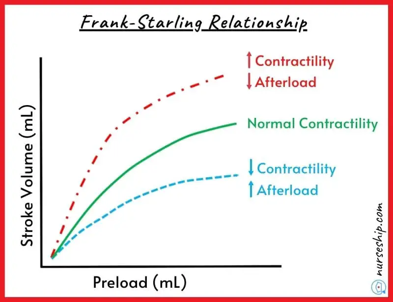 contractility-contractility-definition-contractility-heart-myocardial-contractility-cardiac-contractility-frank-starling-curve-contractility-increased-contractility-increase-contractility-decrease-contractility-contractility-of-the heart-ventricular-contractility-myocardial-contractility-definition-preload-and-contractility-decreased-contractility-cardiac-afterload