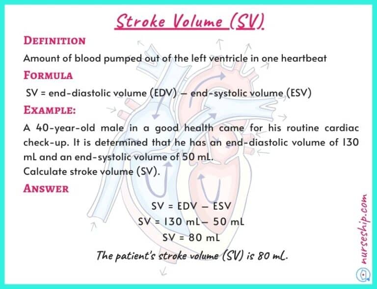 cardiac-preload-vs-afterload-vs-contractility-with-an-example