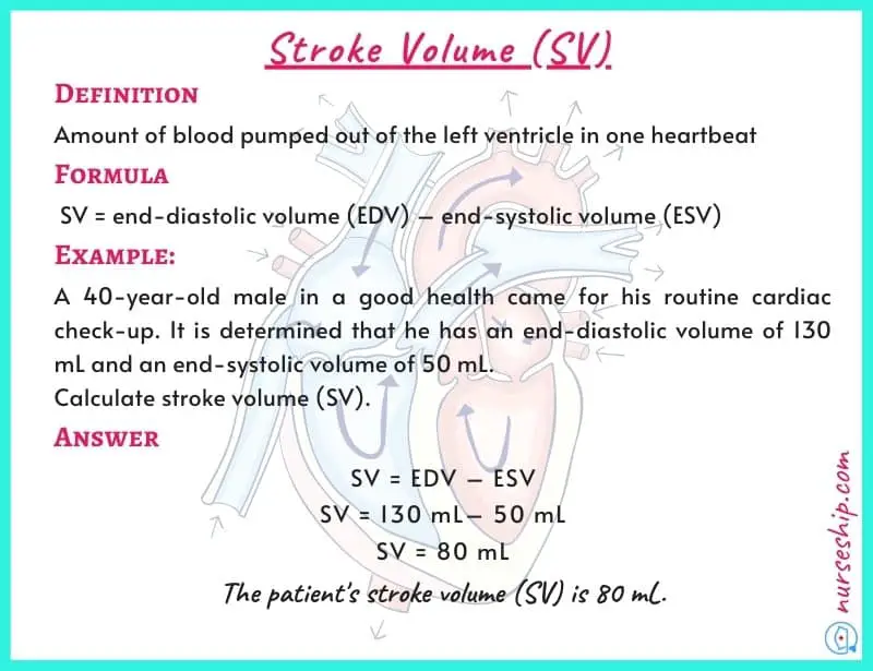 stroke-volume-equation-sv-stroke-volume-formula-how-to-calculate-stroke-volume-example-stroke-volume-what-is-stroke-volume-stroke-volume-definition-normal-stroke-volume-define-stroke-volume-how-to-find-stroke-volume-calculate-stroke-volume-stroke-volume-normal-range-stroke-volume-and-cardiac-output-stroke-volume-normal-range-how-to-measure-stroke-volume-heart-stroke-volume