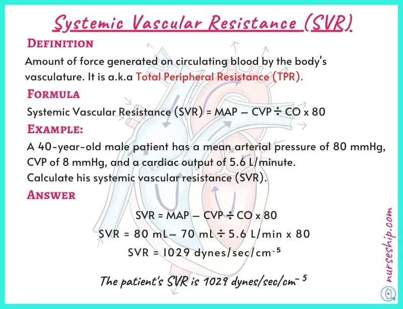 systemic-vascular-resistance-svr-how-to-calculate-systemic-vascular-resistance-normal-systemic-vascular-resistance-total-peripheral-resistance-tpr-what-is-systemic-vascular-resistance-systemic-vascular-resistance-definition-calculate-systemic-vascular-resistance-example-systemic-vascular-resistance-calculation-systemic-vascular-resistance-formula-systemic-vascular-resistance-equation-what-is-total-peripheral-resistance-total-peripheral-resistance-equation-total-peripheral-resistance-formula