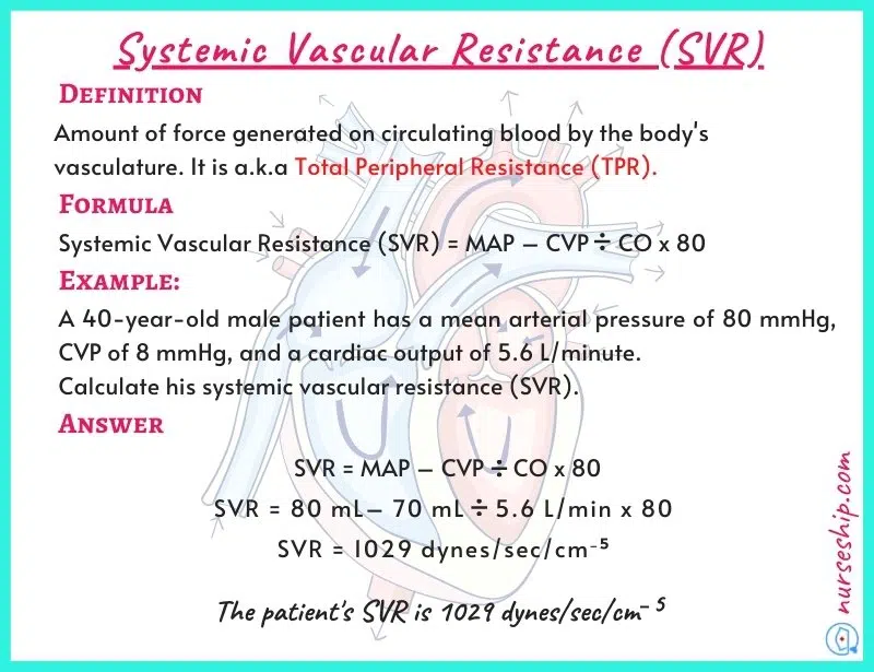 systemic-vascular-resistance-svr-how-to-calculate-systemic-vascular-resistance-normal-systemic-vascular-resistance-total-peripheral-resistance-tpr-what-is-systemic-vascular-resistance-systemic-vascular-resistance-definition-calculate-systemic-vascular-resistance-example-systemic-vascular-resistance-calculation-systemic-vascular-resistance-formula-systemic-vascular-resistance-equation-what-is-total-peripheral-resistance-total-peripheral-resistance-equation-total-peripheral-resistance-formula