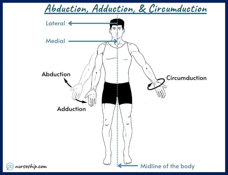 abduction-adduction-circumduction-shoulder-wrist-forearm-hip-thumb,leg,meaning-image-hand-with-pics-a&p-angular-movement-musculosckeletal-system-nursing-explain-motion-quizlet-definition-joints-muscle-picture-what-is-medical-rotation-and-circumduction-joints