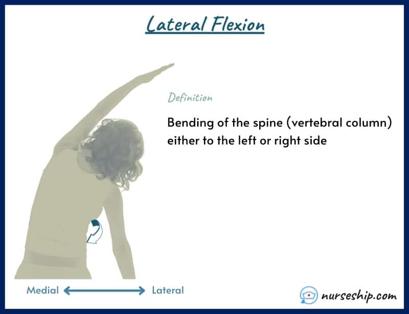 lateral-flexion-lateral-flexion-of-spine-trunk-lateral-flexion-cervical-lateral-flexion-neck-lateral-flexion-lateral-flexion-definition-anatomy-lumbar-lateral-flexion left-lateral-flexion-lateral-flexion-movement-right-lateral-flexion-what-is-lateral-flexion-cervical-spine-lateral-flexion-lateral-flexion-of-head-diagram-example-meaning-medical-image-with-pics-a&p-angular-movement-musculosckeletal-system-nursing-explain-motion-quizlet-joints-muscle-picture-what-is-medical-joints-anatomical-what-is