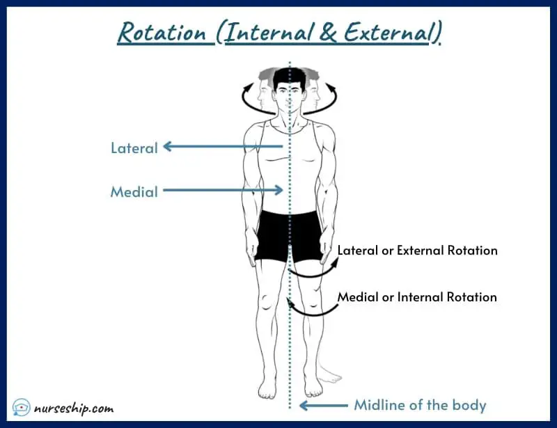 rotation-internal-external-medial-lateral-internally-externally-medially-laterally-hip-shoulder-arm-knee-leg-medial-rotation-vs-lateral-rotation-internal-or-medial-rotation-internal-or-medial-rotation-meaning-image-with-pics-a&p-angular-movement-musculosckeletal-system-nursing-explain-motion-quizlet-definition-joints-muscle-picture-what-is-medical-rotation-and-circumduction-joints-anatomy-anatomical