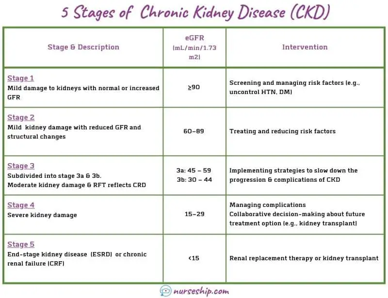 5-stages-of-chronic-kidney-disease-ckd-gfr-egfr-esrd-crf-stages-of-ckd-symptoms-chart-table-according-to-gfr-stages-of-ckd-by-gfr-estimated-glomerular-filtration-rate-signs-how-many-stages-of-ckd-are-there