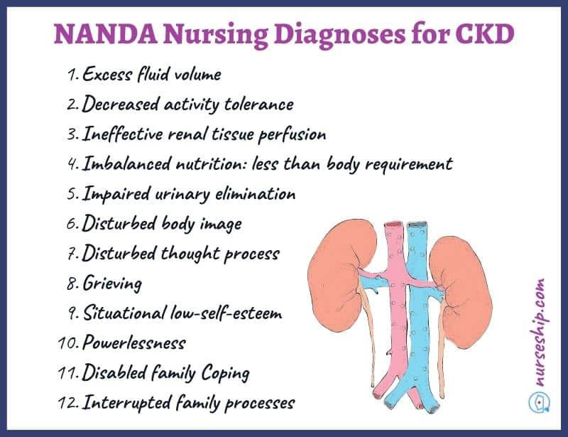 ckd-nursing-diagnosis-nanda-i-interventions-assessment-teaching-excess fluid volume-ineffective-renal-perfusion-managing-ckd-nursing-crf-esrd-esrk-chronic-renal-failure-end-stage-renal-disease-nursing-diagnosis-simple-nursing