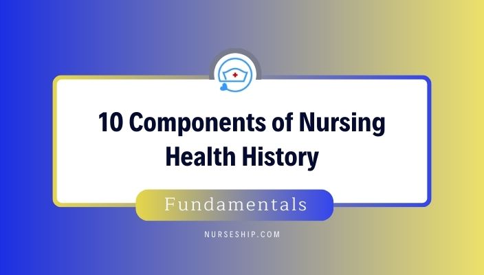 10-components-of-Nursing-health-history-Assessments-nursing-process-types