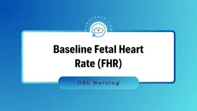Baseline-Fetal-Heart-Rate-FHR-Acceleration-Early-Decelerations-Late-Decelerations-Variable-Decelerations-variability